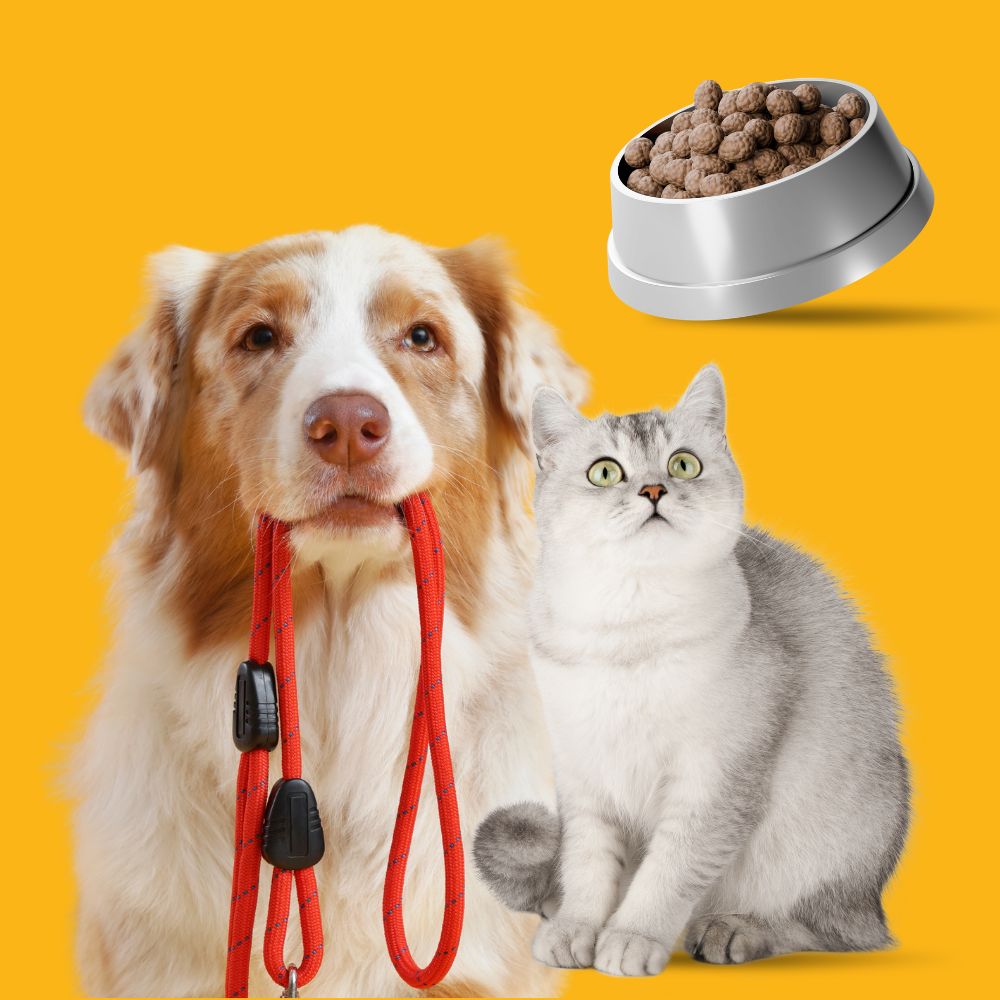 Pet Supplies