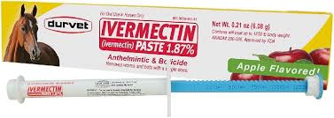 Ivermectin Horse Dewormer Paste 1.87% (Apple Flavored) 6.08g-1